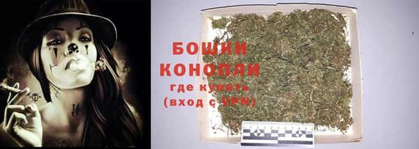 индика Осташков