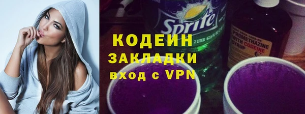 индика Осташков