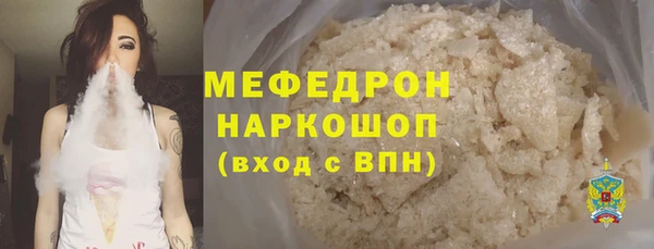 индика Осташков