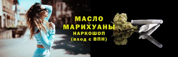 индика Осташков