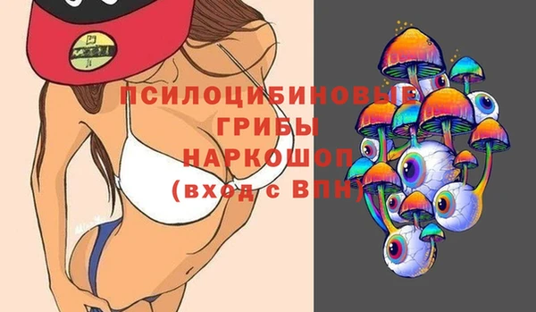 дмт Армянск